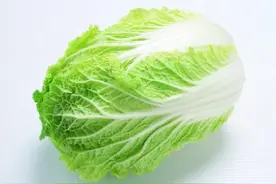 白菜Brassica pekinensis (Lour.) Rupr图片