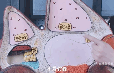 骆驼的驼峰竟然不是用来存水的？那它靠啥在沙漠里笑嘻嘻？