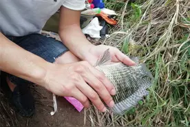 钓到这几种鱼可千万别吃！有一定风险，毒素可能长期遗留图片