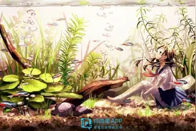 ps板绘提取线稿该怎么做？学会快速提取线稿图片