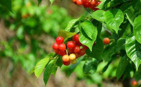 妯辨閲囧悗绠″緱濂?鏉ュ勾鑵板寘榧撳緱鍦? onerror=