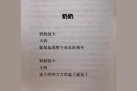 弟弟编写文言文，曝光姐姐是个“女汉子”，没想到喜获全国二等奖图片