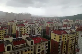 深度丨港资房企，政协委员，“金蝉脱壳”：一个旧改小区乱局的考问图片