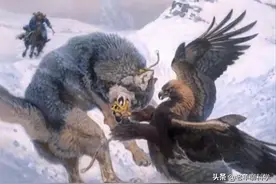 斗灰熊干雪豹，还能抓小孩？展翅就是一个姚明，雕兄真的能做到？图片