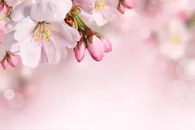 白马王子只会娶买得起水晶鞋的灰姑娘图片