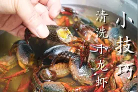 龙虾别只用清水洗，等于吃垃圾，教你小妙招加醋和盐，脏东西全跑图片