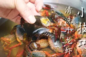 龙虾别只用清水洗，等于吃垃圾，教你小妙招加醋和盐，脏东西全跑图片