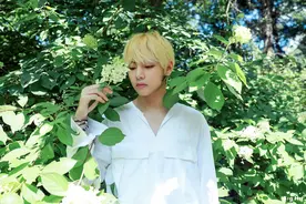 BTS“防弹少年团”图片