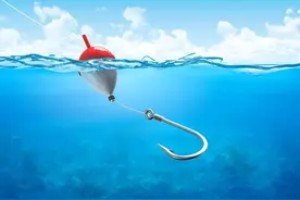 首月一元保险涉嫌欺诈？用户集中投诉，监管将介入图片