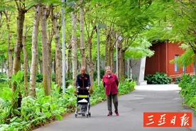 《三亚市公园条例》6月1日起实施！最新解读→图片