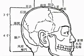 「针灸」20.后顶（督脉）图片