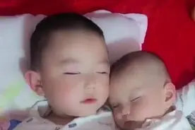 3岁哥哥哄2岁弟弟睡觉，妈妈掀开被子看到两人的睡姿无法淡定图片