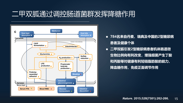 庞艳莉：22分钟详解肠道菌群与代谢疾病