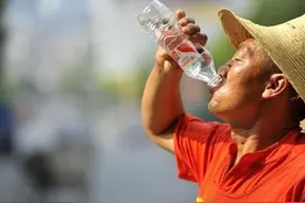 农民是小白鼠吗？为啥电视那些“致富经”欺骗农民，却无人管制？图片