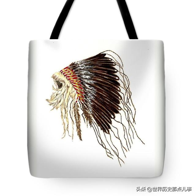 华丽的羽冠，勇士的王冠：一顶印第安人帽子背后的荣耀与尊严