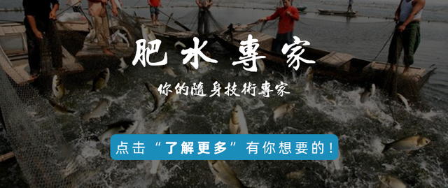 温差变化大，池塘出现泡沫油膜可以这样处理