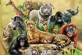 雄森动物大世界特别开园日，航拍+直播带你云游专场活动！图片