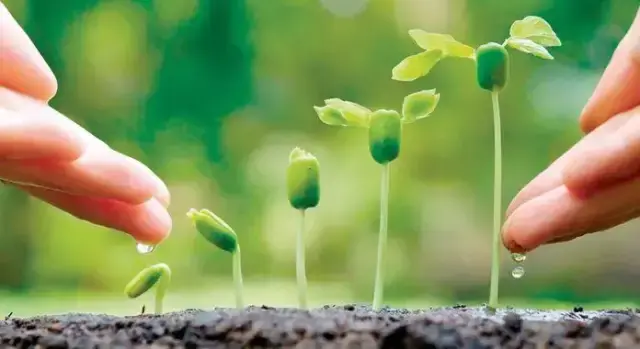 姘ㄥ熀閰搞€侀粍鑵愰吀銆佽厫妞嶉吀锛氫笁澶х敓鐗╁埡婵€鍓傜殑浣滅敤涓庡尯鍒? onerror=