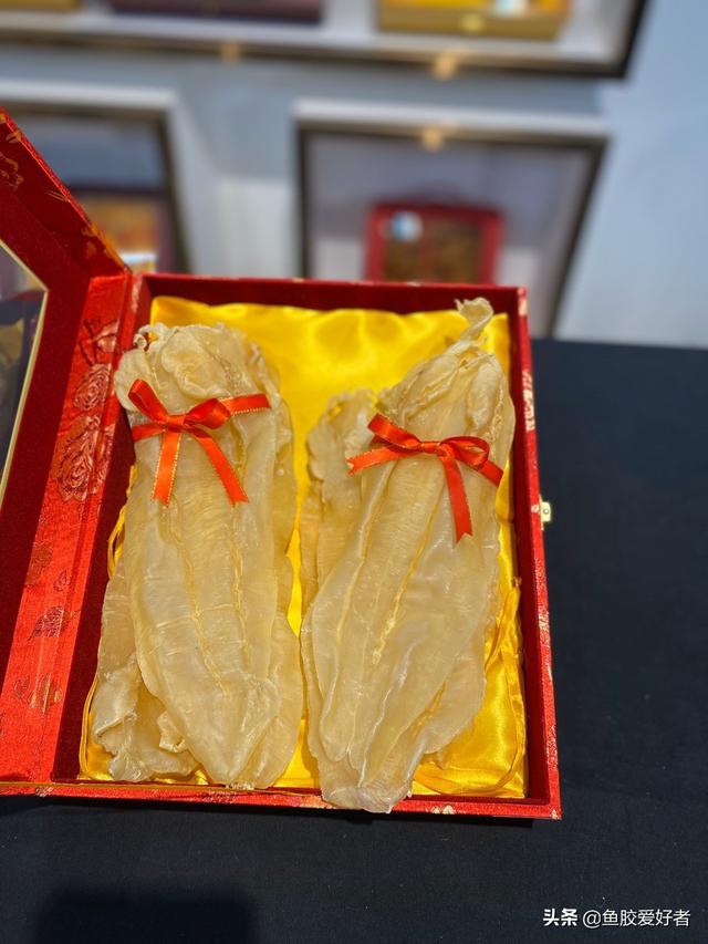 花胶多久吃一次最佳 2026年花胶多久吃一次好