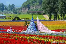 待到山花烂漫时，跟通化相约一场花开之旅吧图片