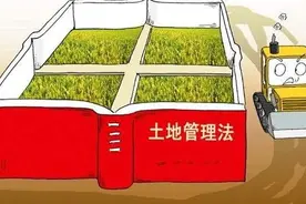 9月将出台《土地管理新规》，土地是否会重新分配？答案是什么图片