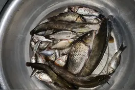 昆明周边100公里野生水库探钓，2500海拔雨过后迎来鲫鱼鲶鱼连杆图片