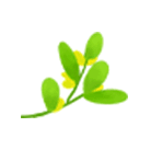 古诗春日带拼音