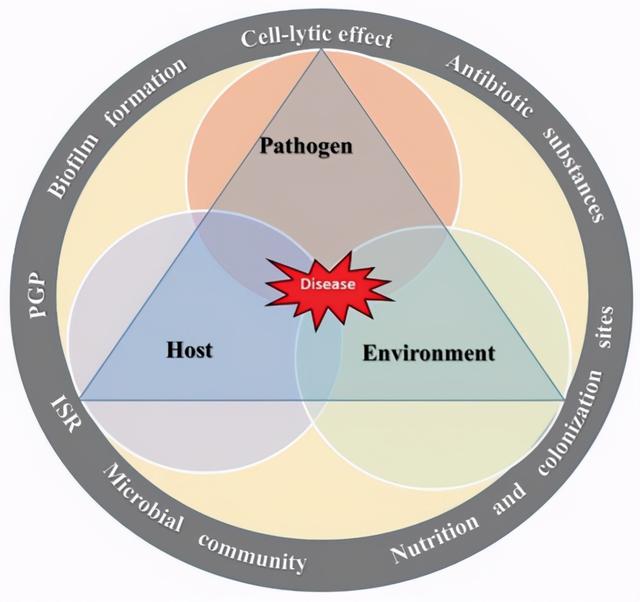 寰敓鐗╁啘涓氾紙2锛夛細鏋崏鑺藉鏉嗚弻闃茬梾浣滅敤鏈虹悊