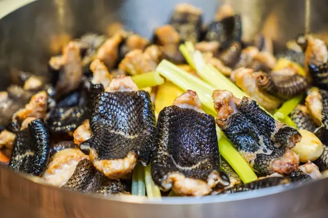 鳄鱼肉炖花胶 2026年鳄鱼肉炖花胶