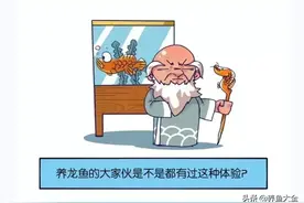 龙鱼老跳缸，到底为什么？｜大仙漫画图片