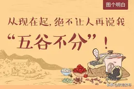从现在起，绝不让人再说我“五谷不分”！图片