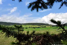 夏日里的仙女山：大草原上的风筝，波浪公路上的小火车图片