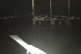 常在水边走，总会有奇遇，野钓奇遇记。图片