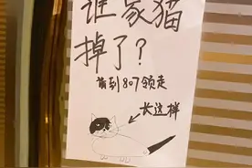 邻居画的“寻猫启事”火了，自带密码锁，只有猫咪主人才能看懂图片
