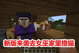 我的世界：新版本女巫竟可以养猫，不知道能不能偷走呢？