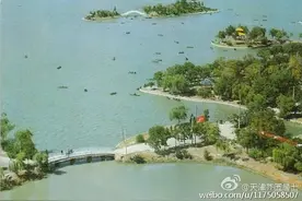 88张天津老照片！海河游乐园、二池、佟楼百货这是天津人的回忆图片