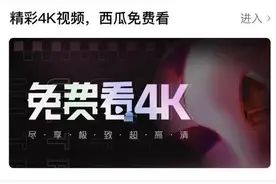 4K的风来了图片