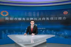 推出项目面积超1100亩 2020成都·简阳服务业线上招商引资推介会举行图片