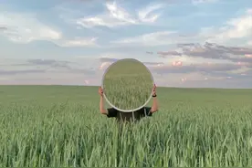 摄影、穿搭、设计，一定会用到的色彩搭配图片