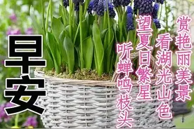 中老年表情包：人生如梦，梦却不随人愿，万般皆是命，半点不由人图片