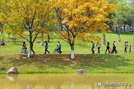 别只知道松湖烟雨，松山湖好玩的还有这么多图片