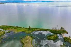 爱狗人士节目上无差别指责，评论员直接无语，谁敢反驳就是谁的错图片