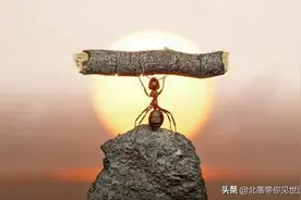 谈谈蚂蚁战配基金销售的几点感受图片