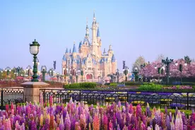 上海迪士尼度假区招聘啦！一大波岗位等你来图片