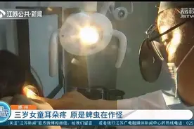 三岁女童耳朵疼 医生从耳道取出一只活蜱虫，还已经产卵图片