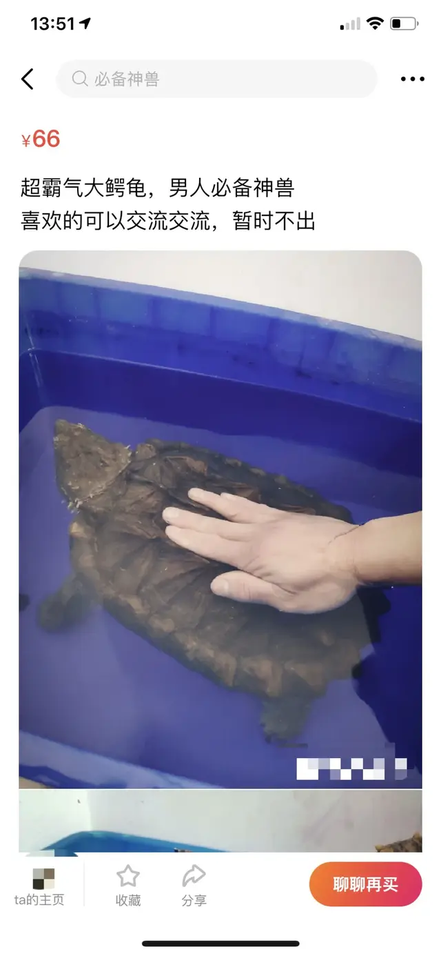 无聊到极致是什么样的体验？我居然在闲鱼上买了野生奥特曼！