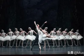 ​经典重现！大提琴独奏《天鹅湖》，请与我共舞一曲吧图片