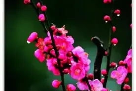 成语“鼋鼍为梁”是什么意思？怎么来的？图片