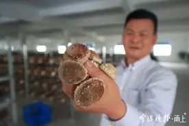 口感脆嫩爽口，是春天美好的味道 这种胖嘟嘟的美食在宁波栽培成功图片