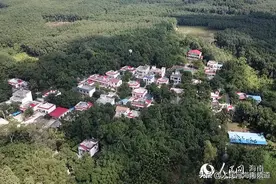 海南白沙脱贫记：她在山区第一个开农村淘宝 一年卖出毛薯10万斤视频封面